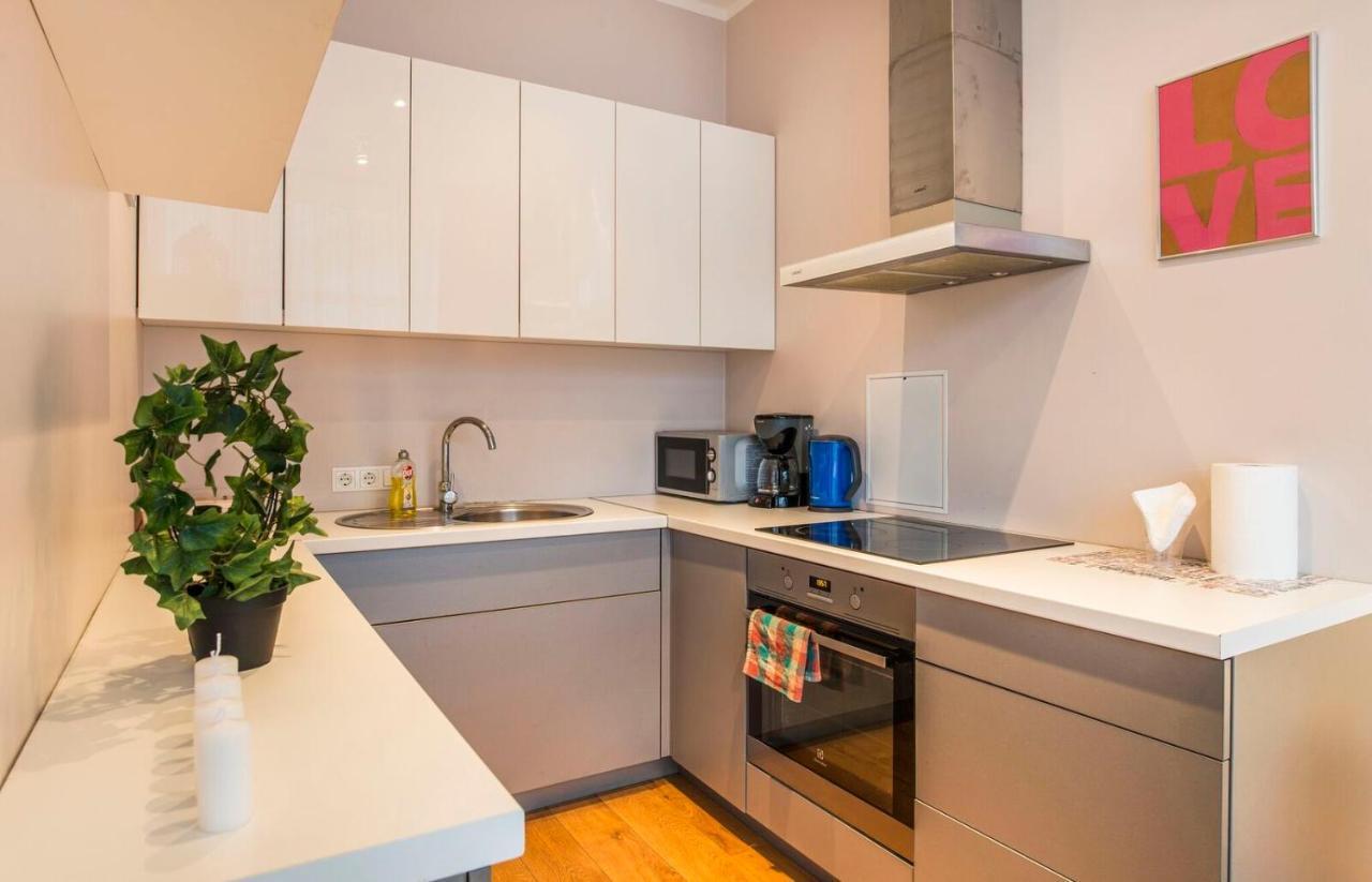 Central 2-Level Penthouse With Terrace And Free Parking Riga Dış mekan fotoğraf
